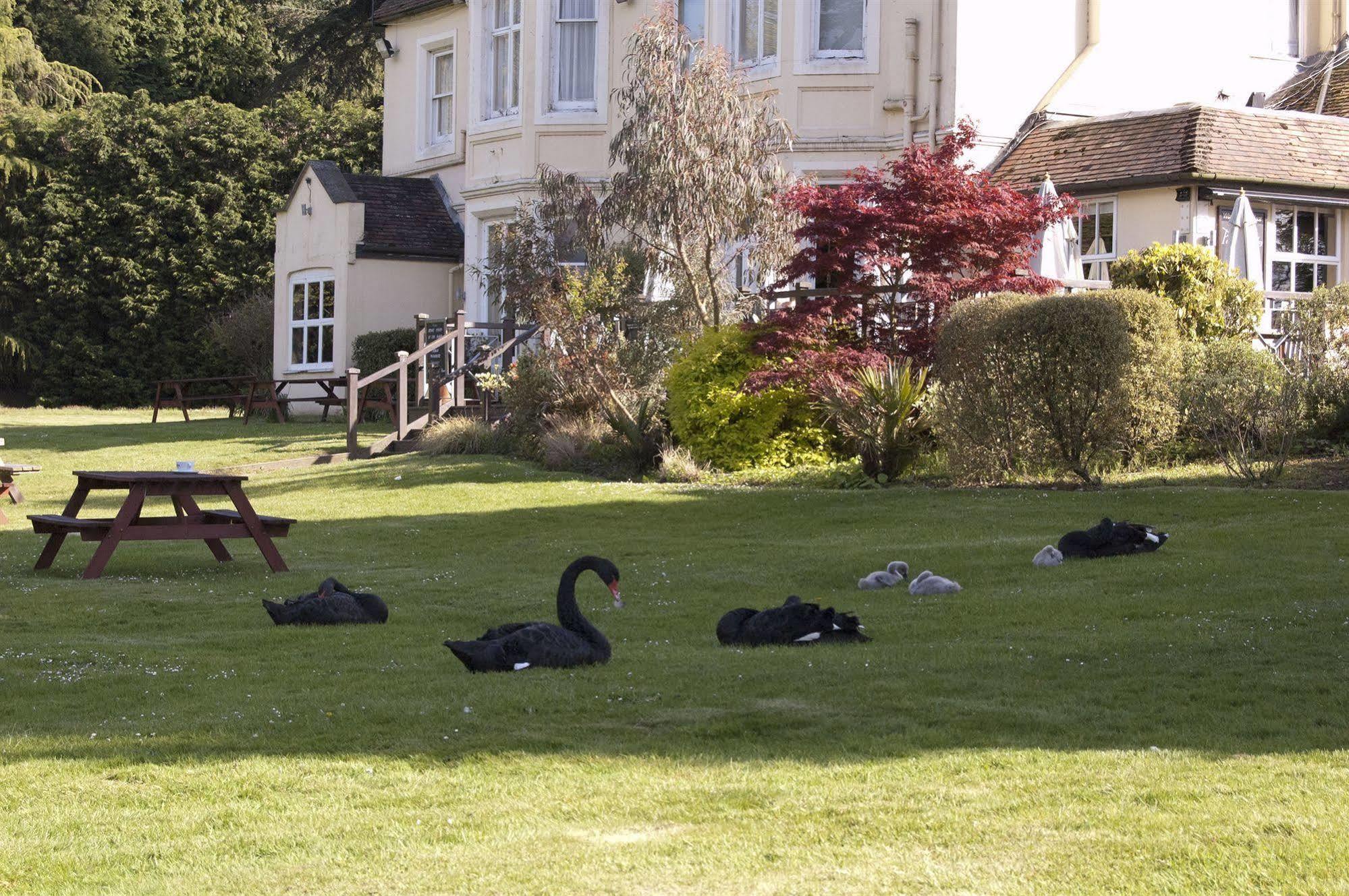 Worplesdon Place Hotel Guildford Bagian luar foto
